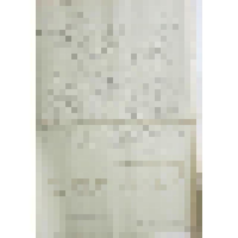 Церковь Спаса Нерукотворного. 1694-1697 гг. Реставрация 1950-1952 гг. с.Уборы, Спасская церковь. Белокаменный резной декор парапета галереи. Шаблон