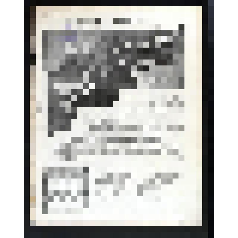 Журнал. "Moussoulmanine" = "Мусульманин" [Текст] : [двухнедельный народно-популярный научно-литературный и общественный журнал]. № 11-12 (25 мая (7 июня)) / [под ред. Магомет-Бека Хаджетлаше (М. Tatarine)]. - [Paris], 1910 ([Paris] : [Русская рабочая тип