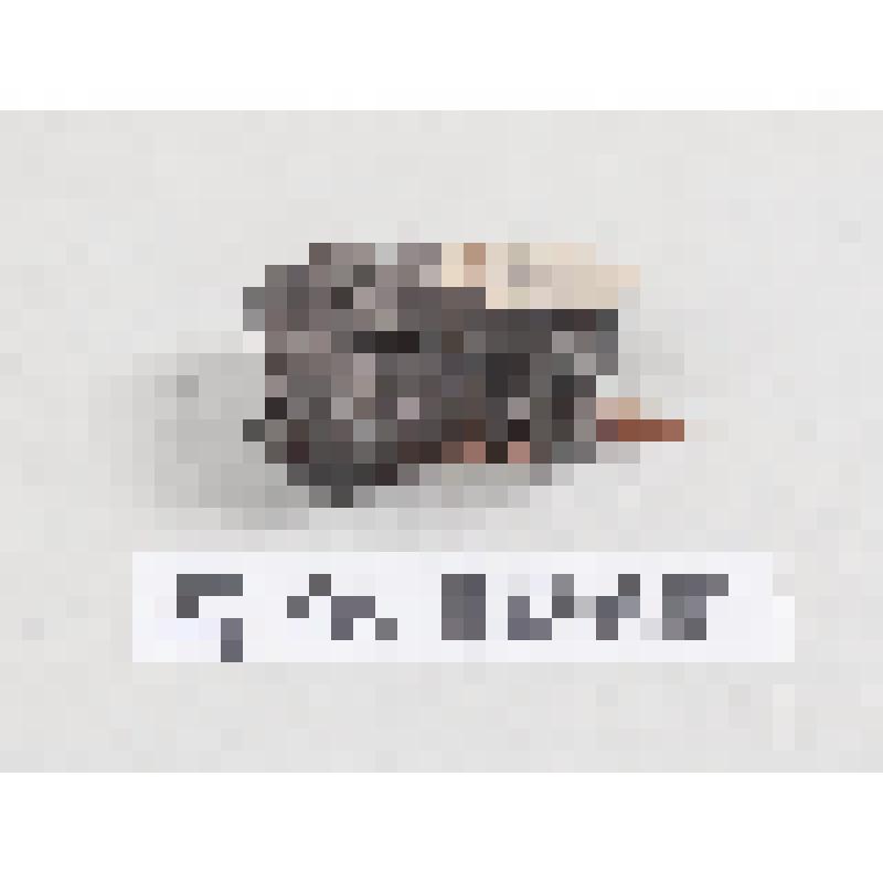 Кусочек смолы