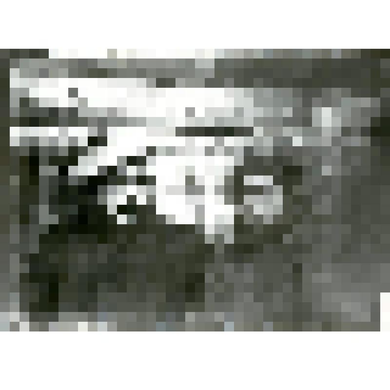 Фотокопия со стеклянных негативов. М.И. Бруснев (справа) и  О.Ф Ционглинский экспедиция Э.В. Толля