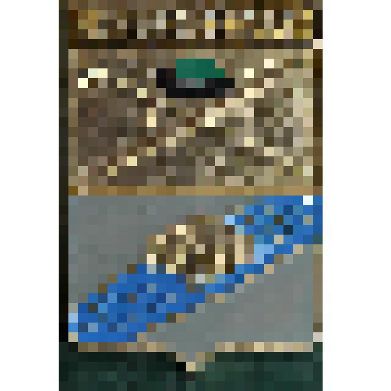 Значок с надписью  Ряжск