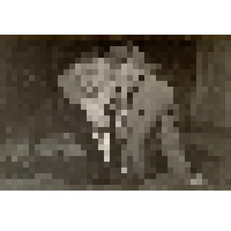 Фото сюжетное. Сцена из спектакля Омского государственного драматического театра "Все остается людям".  Артист Г. Яшунский в роли Вязьмина