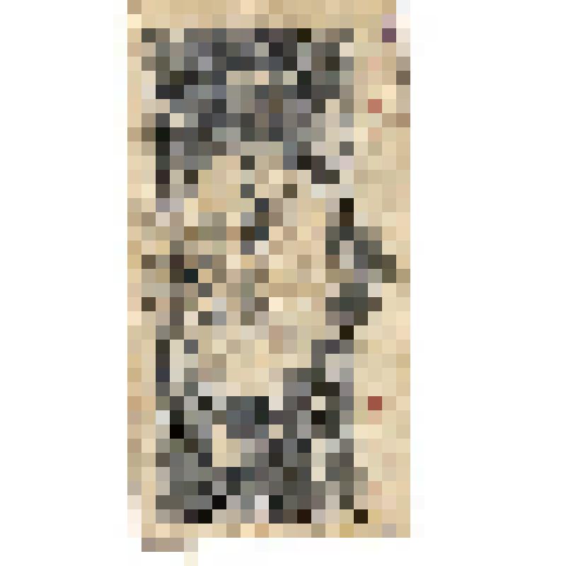 Государственный казначейский билет СССР  5 рублей 1934 ЛУ 417393