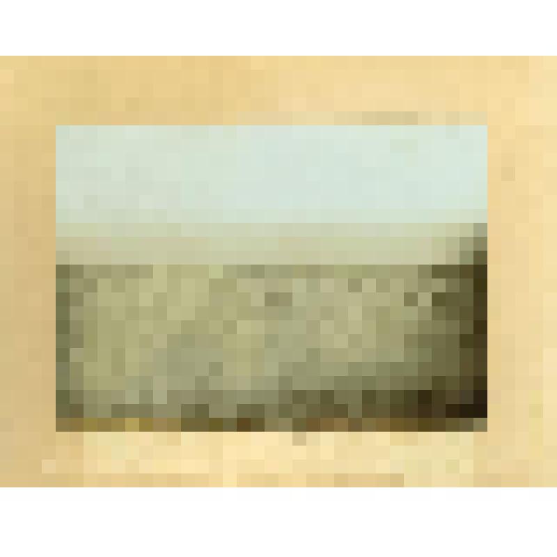 Фотография. Вторая ветеринарная экспедиция на полуостров Ямал. Опытное стадо оленей на отдыхе