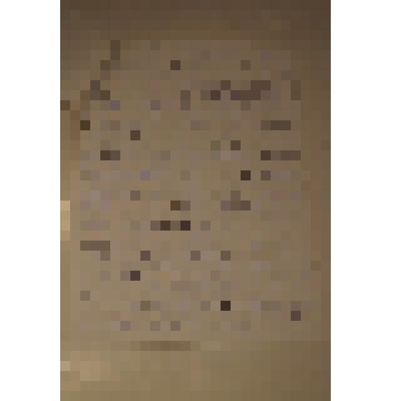 Протокол встречи с Н.А.Дементьевой