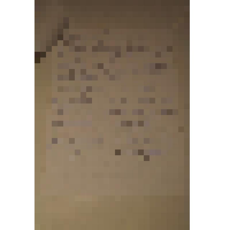 Протокол встречи с Н.А.Дементьевой