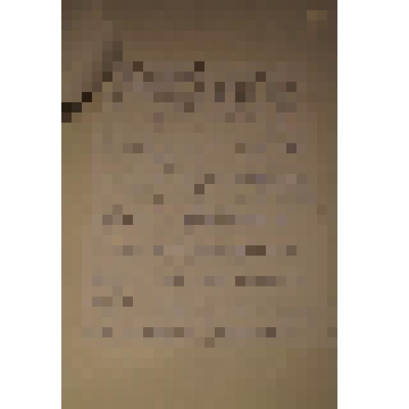 Протокол встречи с Н.А.Дементьевой