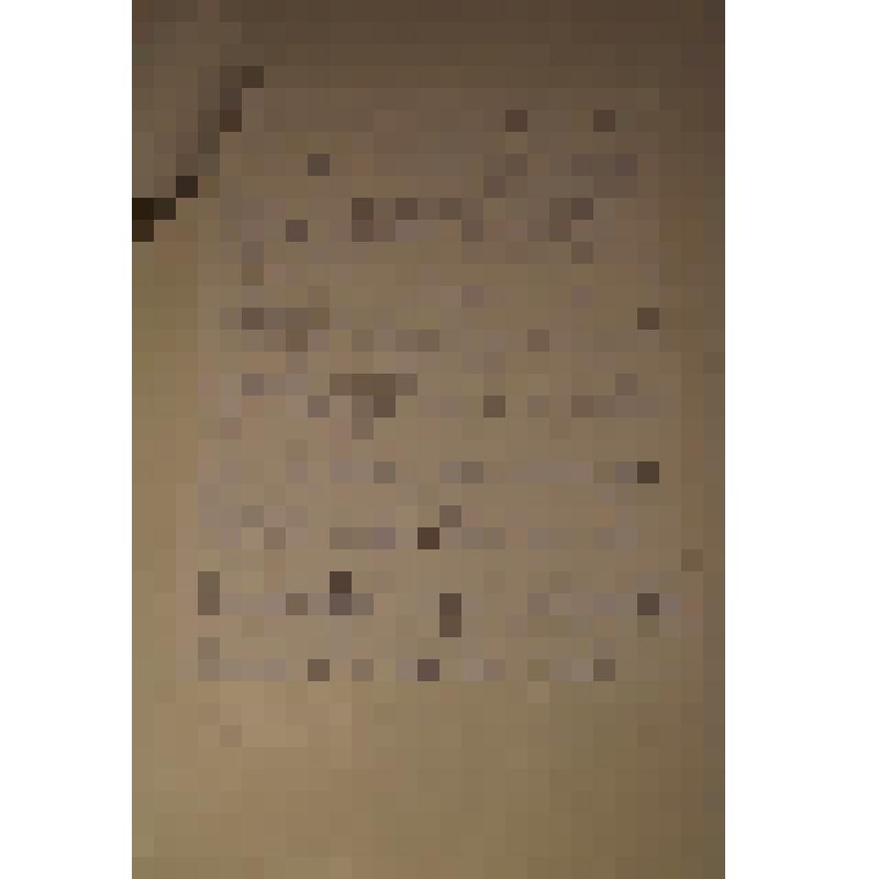 Протокол встречи с Н.А.Дементьевой