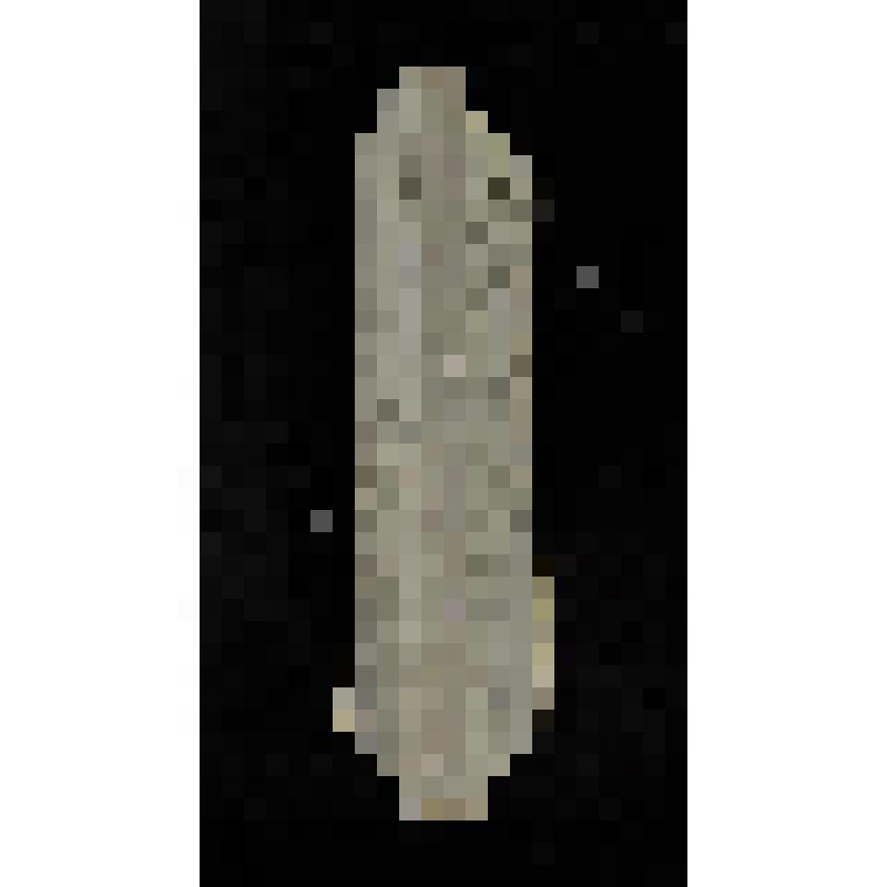 Журнал. Московский телеграф. [Ч.XXVI /Издаваемый Николаем Полевым.- М.: В типогр. А.Семена, при Имп. Медико-хирургической академии], 1829.- №8, апр.-