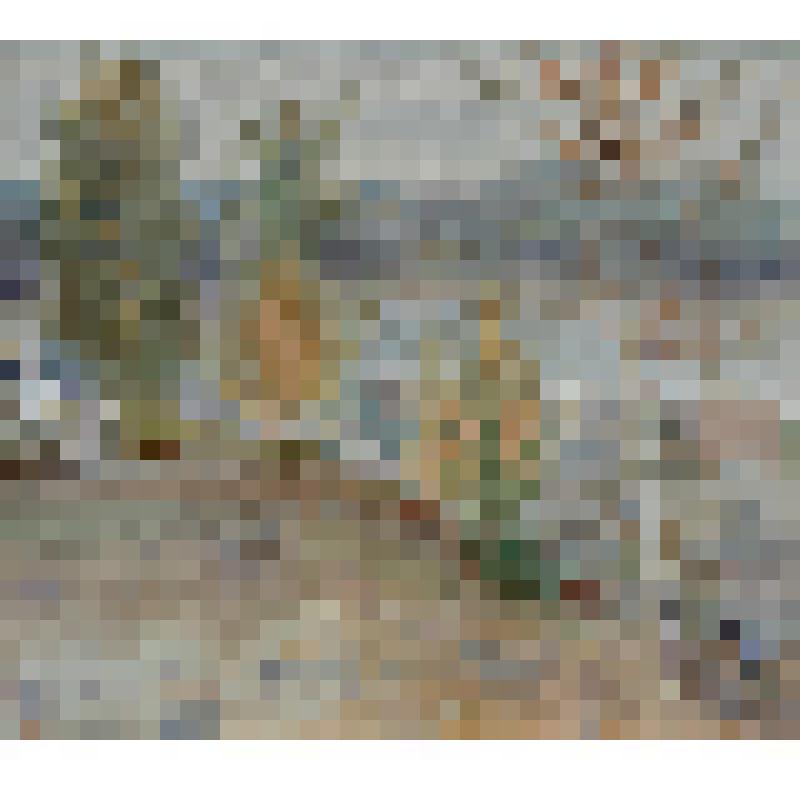 В огороде. Рисунок