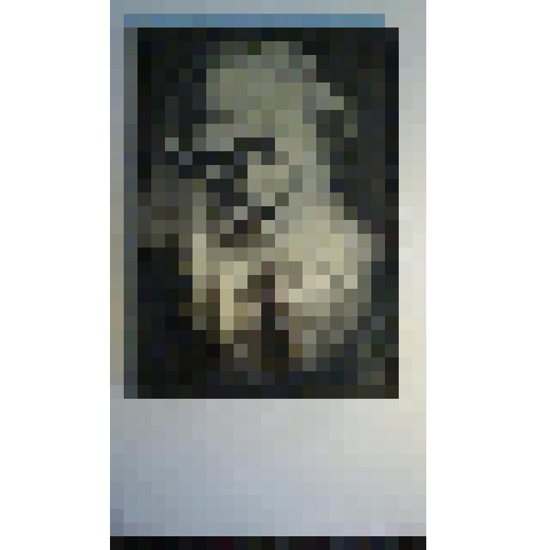 Портрет Л. Н. Толстого черно-белый на шелковой ткани