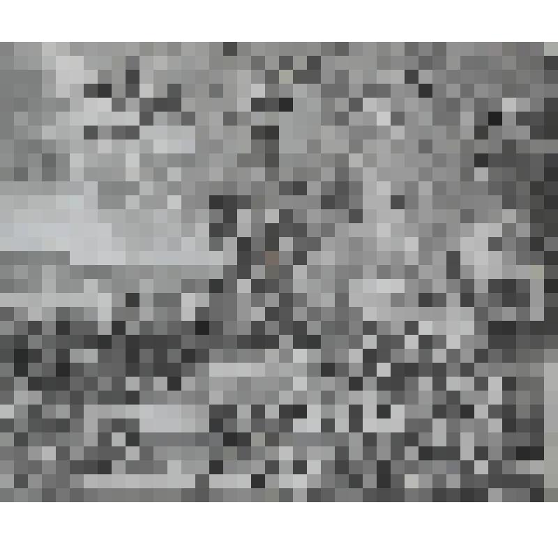 Триумф императора Леопольда