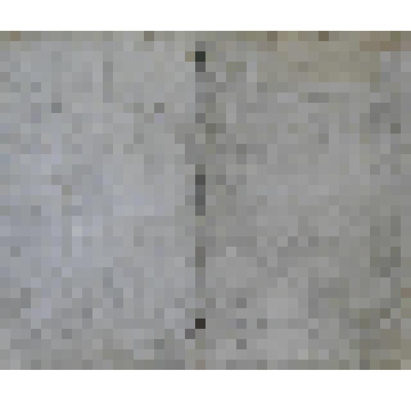 Триумф императора Леопольда