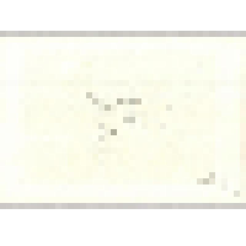 Лист 2. (Из триптиха «Воспоминание» 1990-1993)