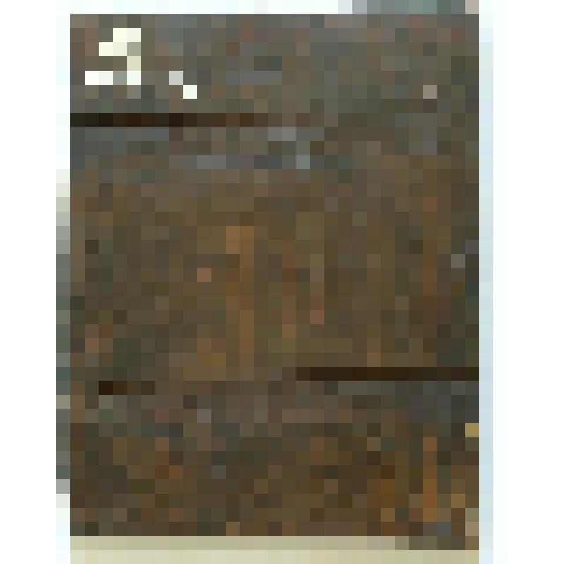 Икона "Иоанн Предтеча"