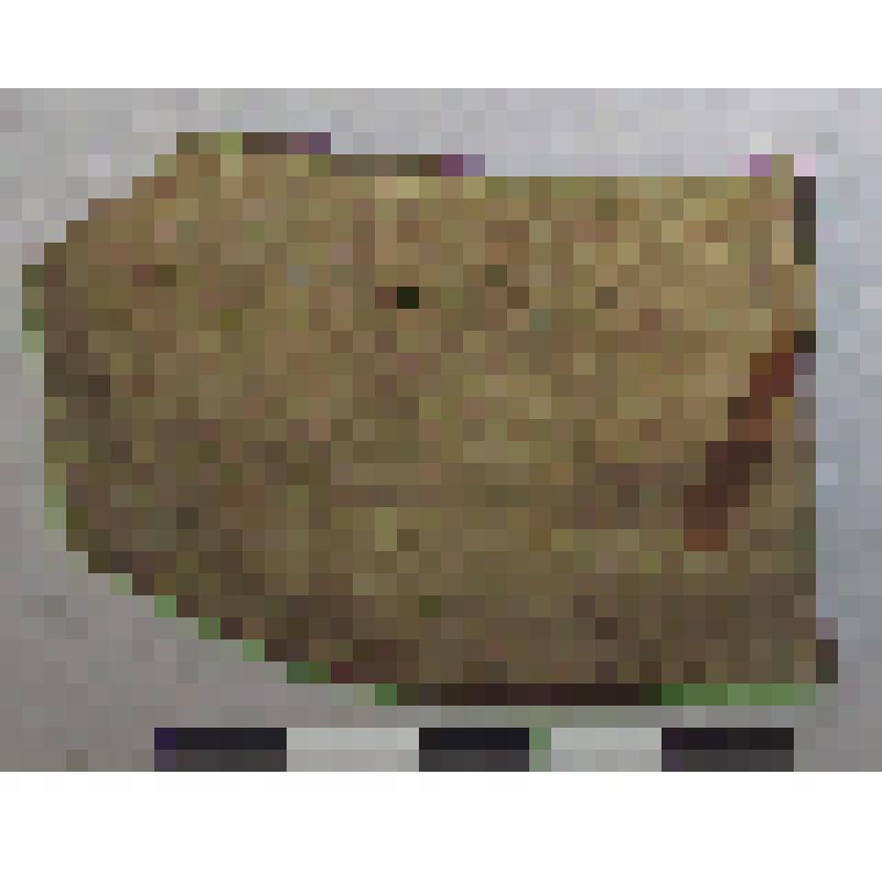 Фрагмент плеча амфоры типа D с дипинто