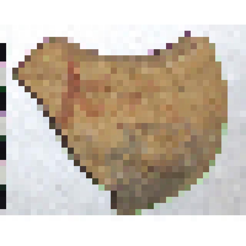 Фрагмент плеча амфоры типа D с дипинто