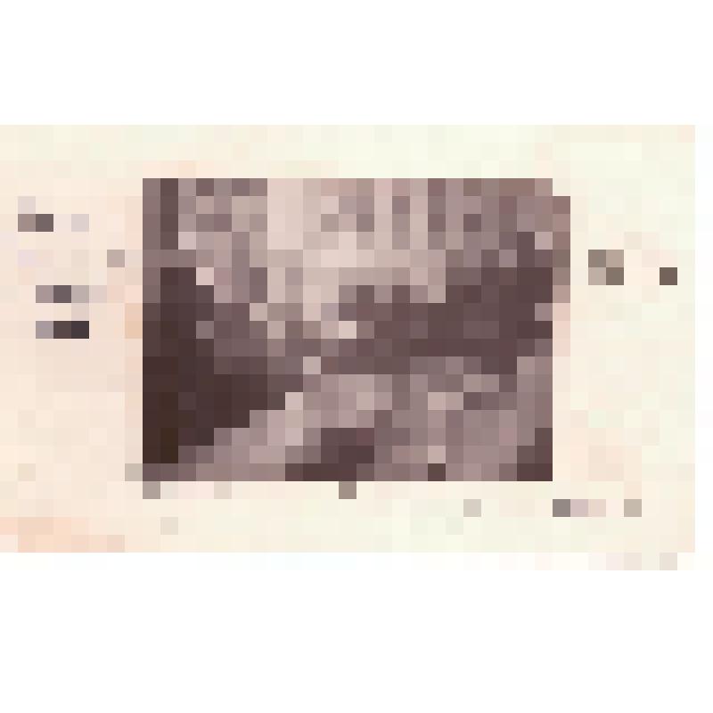 М.И. Калинин беседует с С. Толстой