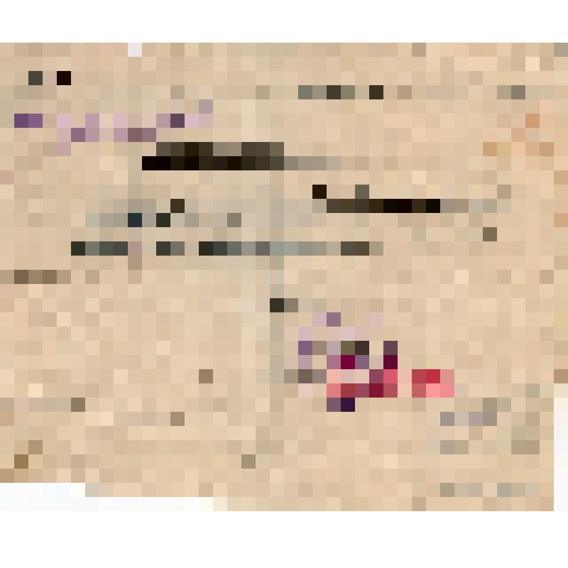 Удостоверение N 41 Перфер И., на право ношения оружия (на украинском языке)