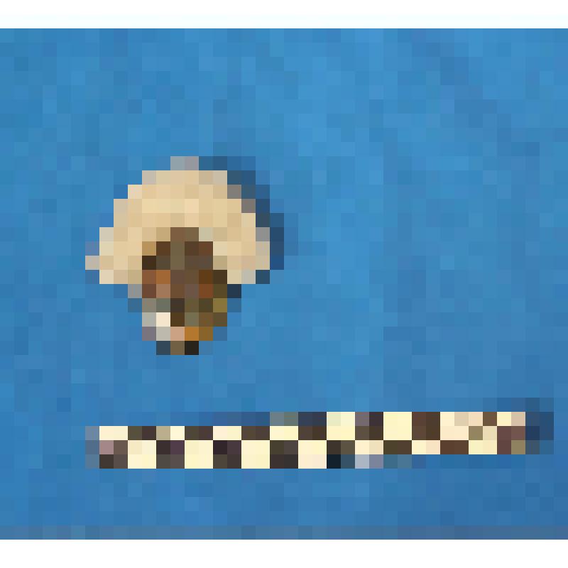 чеканка. Талисман на металлической пластине в виде лица человека. Волосы из шерсти. На обратной стороне подложка из кожи. Вверху пластины закреплено металлическое кольцо