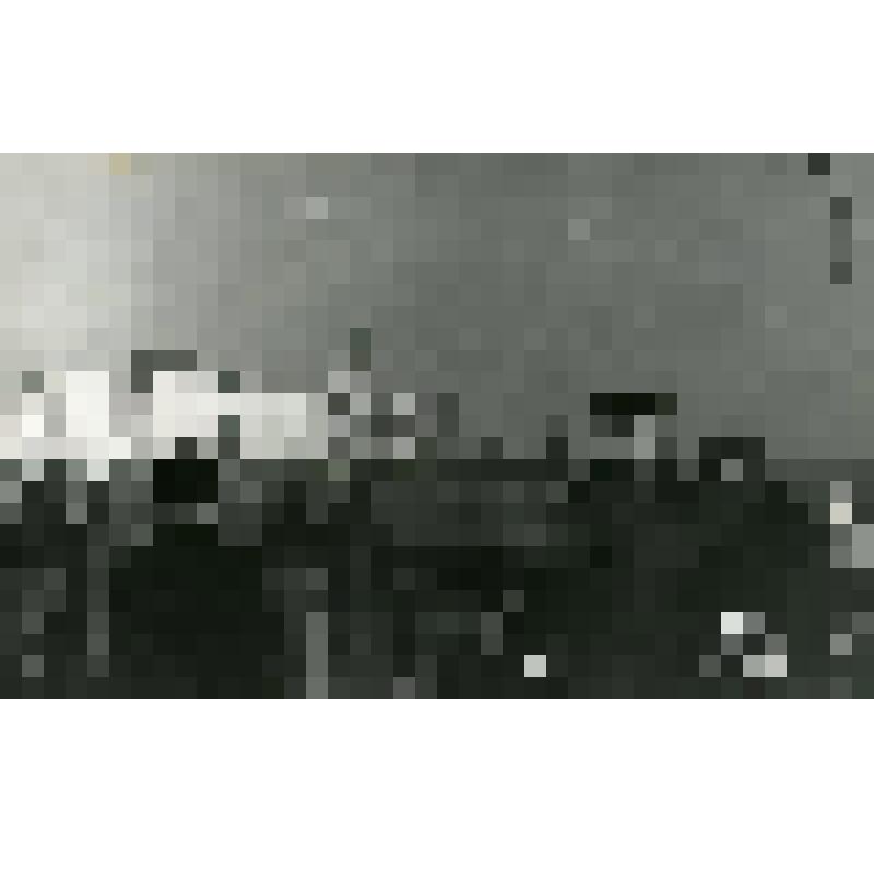 Фотография. Г.Д. Красильников, студент Литературного института им. А.М. Горького с женой Зинаидой в г. Москве