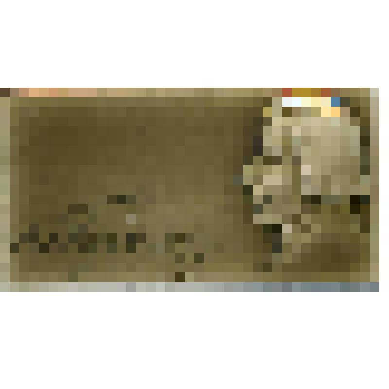 Значок. Гоголь Н.В. на булавке. СССР