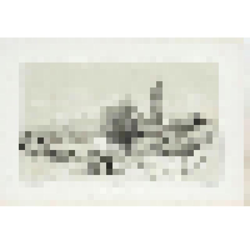 Литография. "Вид Нижнего Новгорода. Благовещенский монастырь."