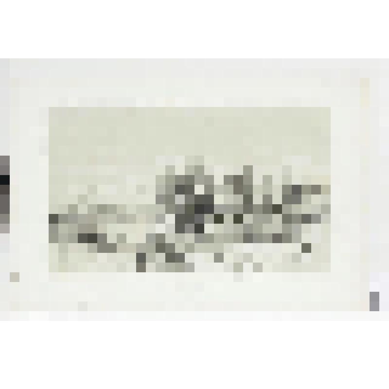 Литография. "Вид Нижнего Новгорода. Благовещенский монастырь."