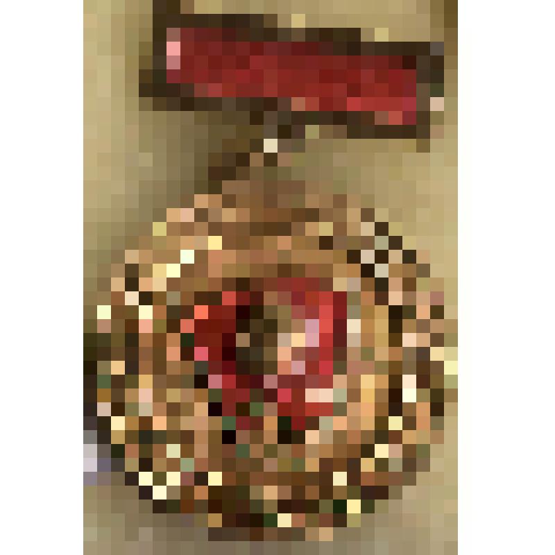 Значок нагрудный члена ВЛКСМ "Ветеран комсомола Дона" круглой формы на прямоугольной колодочке; золотистого и красного цвета; с булавочным креплением. Из коллекции по теме "Комсомол"