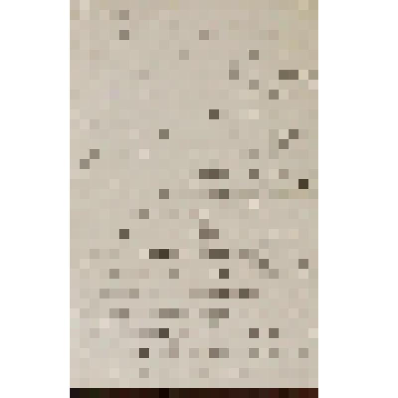 Полевой Петр Николаевич (писатель, литературовед). Письмо к Кондратьеву Алексею Михайловичу с выражением соболезнований в связи со смертью сына Миши