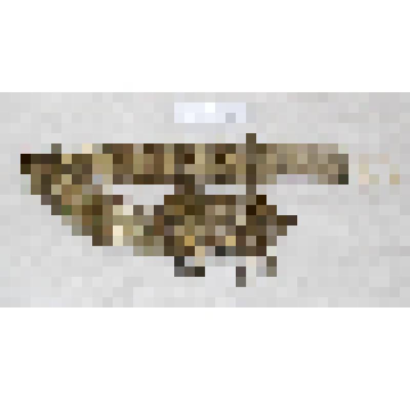 Пояс с пряжкой