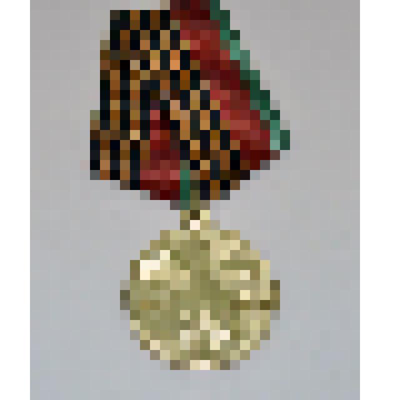 Медаль Республики Беларусь юбилейная. 65 лет освобождения Республики Беларусь от немецко-фашистских захватчиков. Курылёва Н.И, ветерана Великой Отечественной войны