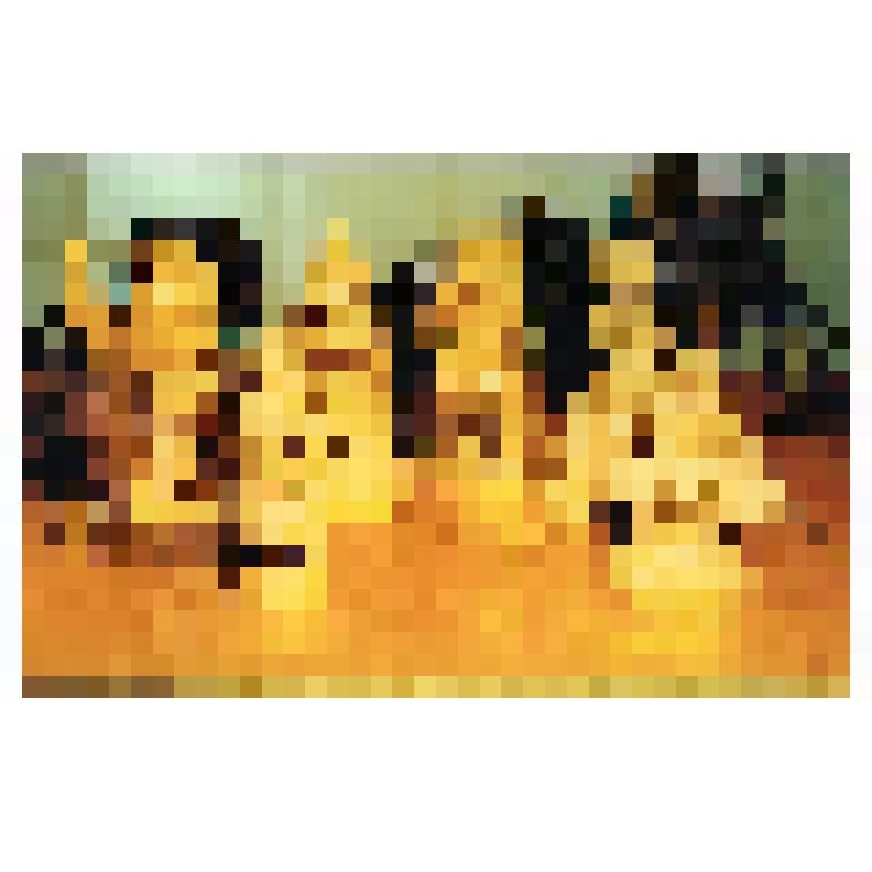 Фотография. «Предметы из фондов МУК «ОРКМ»