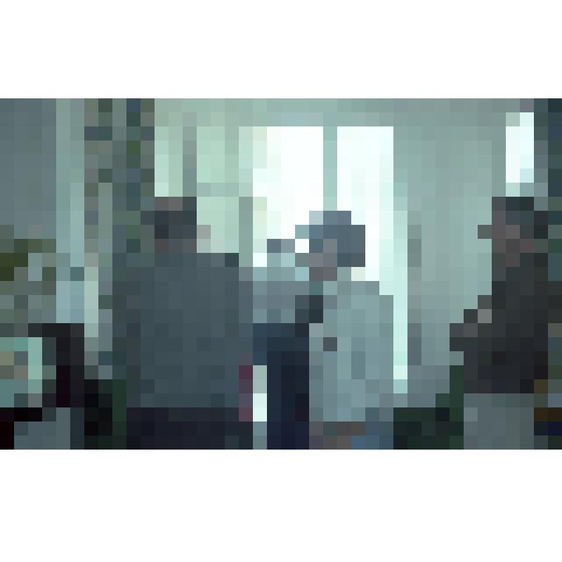 Негатив. Каннский кинофестиваль. Оглашение результатов конкурса по телевизору