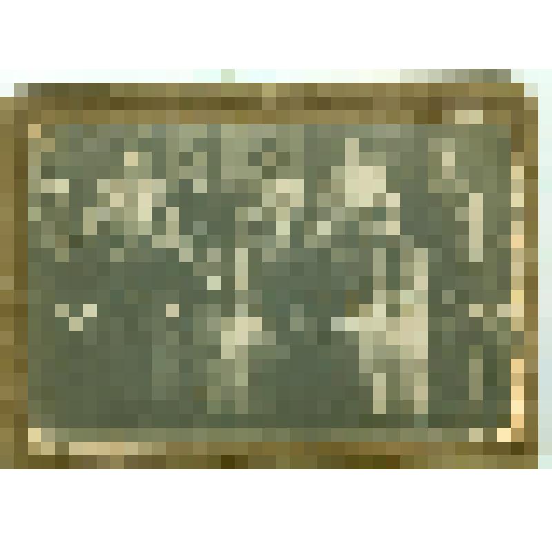 Фотографии. Фото. Сарлина (Уязнова) Ф.И. в первом ряду вторая справа