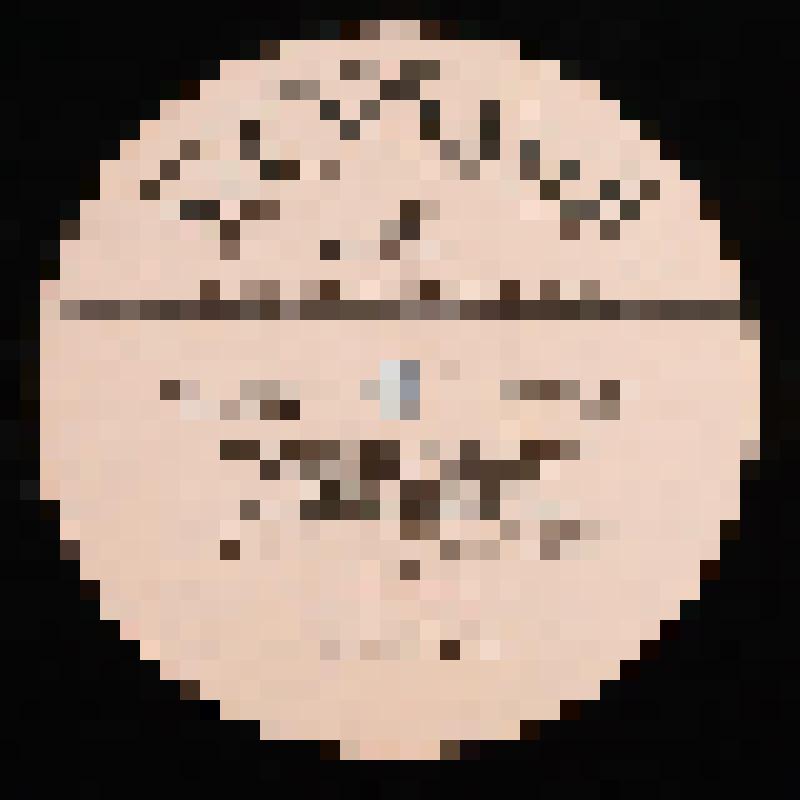 Грампластинка. Фонохрестоматия по русской музыкальной литературе: для VI - VII классов ДМШ (Пластинка 4) 
Бородин А. "Князь Игорь": Хор народа из пролога; Песня Галицкого; 
Хор девушек; Хор бояр "Мужайся, княгиня"; Ария Игоря; Ария Кончака; Половецкие пля