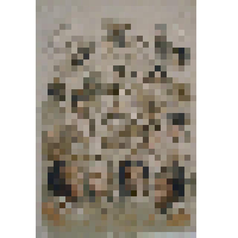 Японцы и китайцы