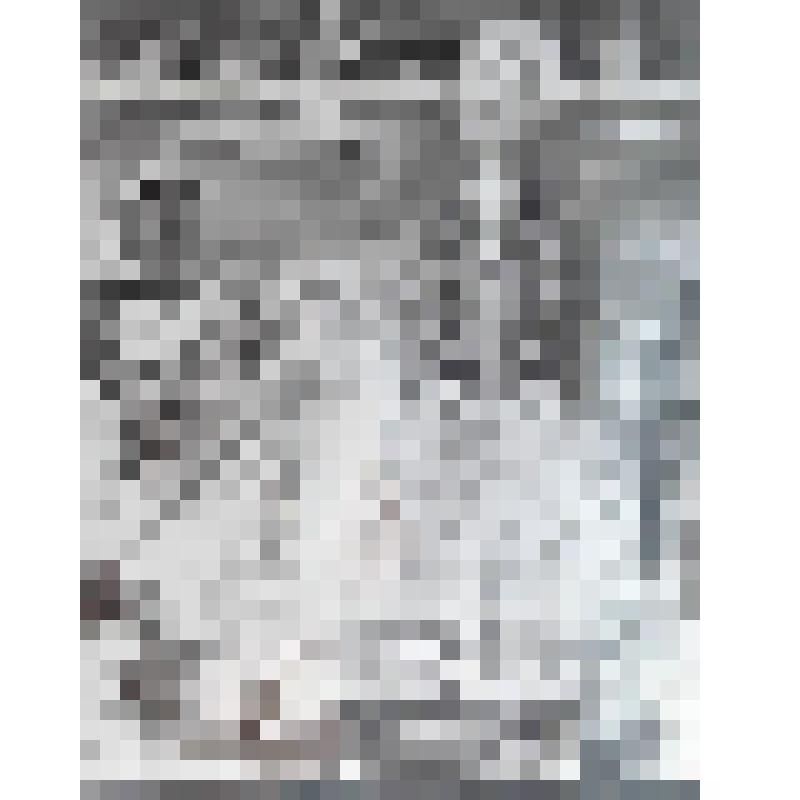 Графическая картина "Бургомистрова дочь", 2016 г