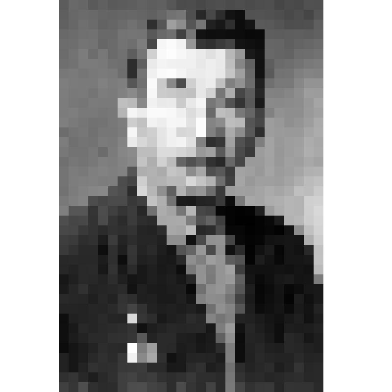 Фото черно-белое