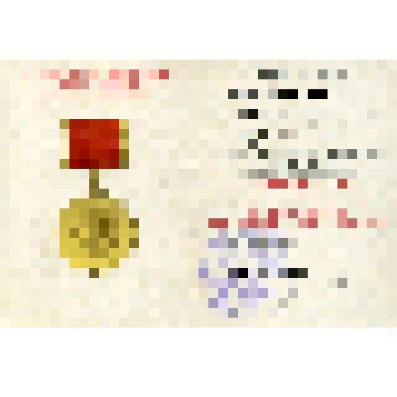 Документ к награде