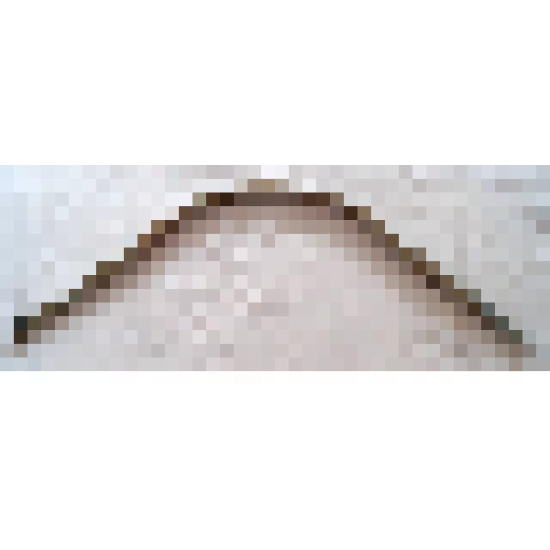 Коромысло. Начало ХХ века