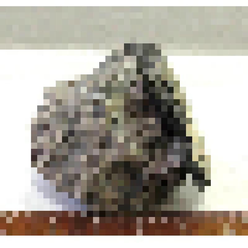 Клаусталит