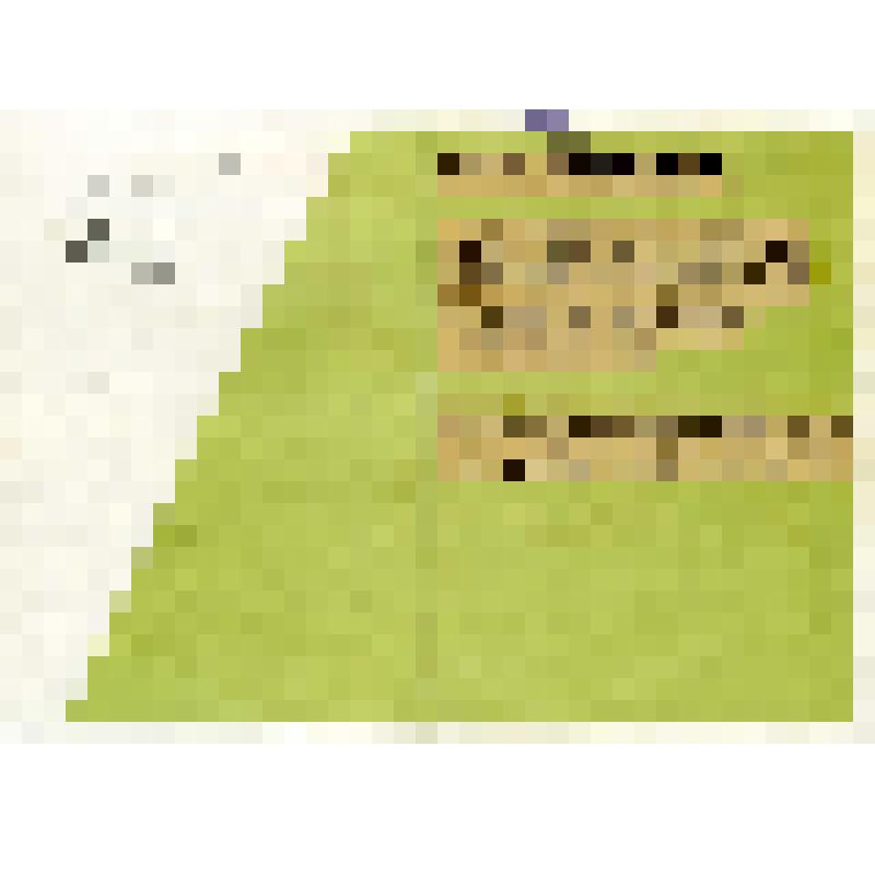 Поздравительная телеграмма Андрею Ефимовичу Бочкину от Бочкина из с.Ильгоши. 1967г