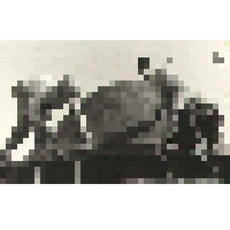 Фотография. Рабочие СМУ ЦММ на строительстве второй очереди Чураевского водозабора