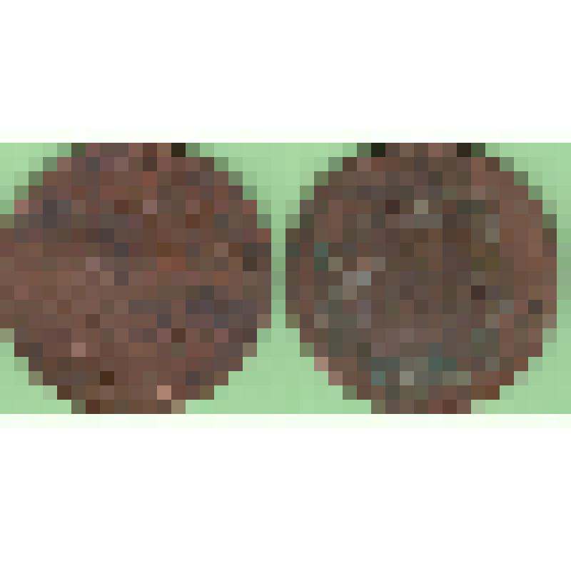 Монета 2 копейки 1797 года