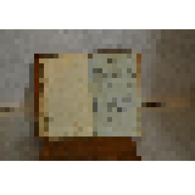 Книга. Дополнение к деяниям Петра Великого. Том 16