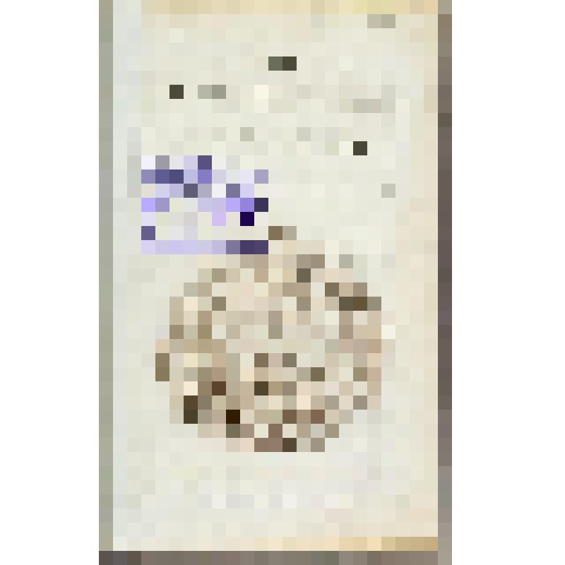 Книга. Труды Вольнаго экономическаго общества 1793 г. Продолженїе трудовъ Вольнаго экономическаго общества къ поощренїю въ Россїи земледѣлїя и домостроительства. Часть XVIII