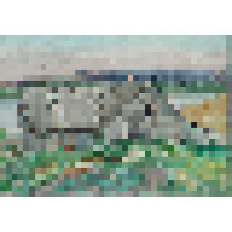 Моркваши. (Берег Волги)