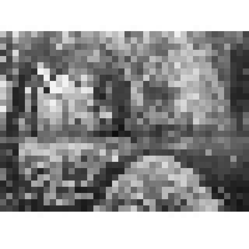 Серия фотографий с авторской фотовыставки "Мой взгляд". Фото цв. Осень