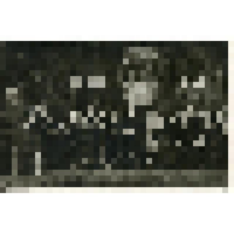 В. Брасова, Е. Гоголева, О. Лепешинская, Зубов, Филиппов, Е. Турчанинова и другие в Президиуме торжественного собрания в Центральном Доме работников искусств в честь его 25-летия